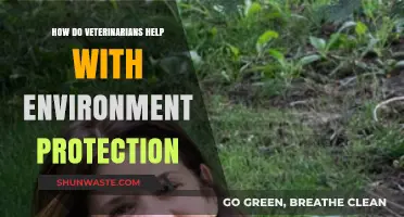 Veterinarians' Role in Protecting Ecosystems and Preserving Our Environment