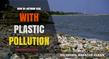 Vietnam's War on Plastic Pollution: Strategies and Solutions