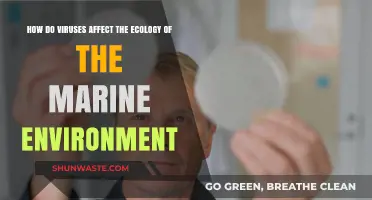 Viruses' Impact on Marine Ecology: Unseen Forces Shaping Ocean Life