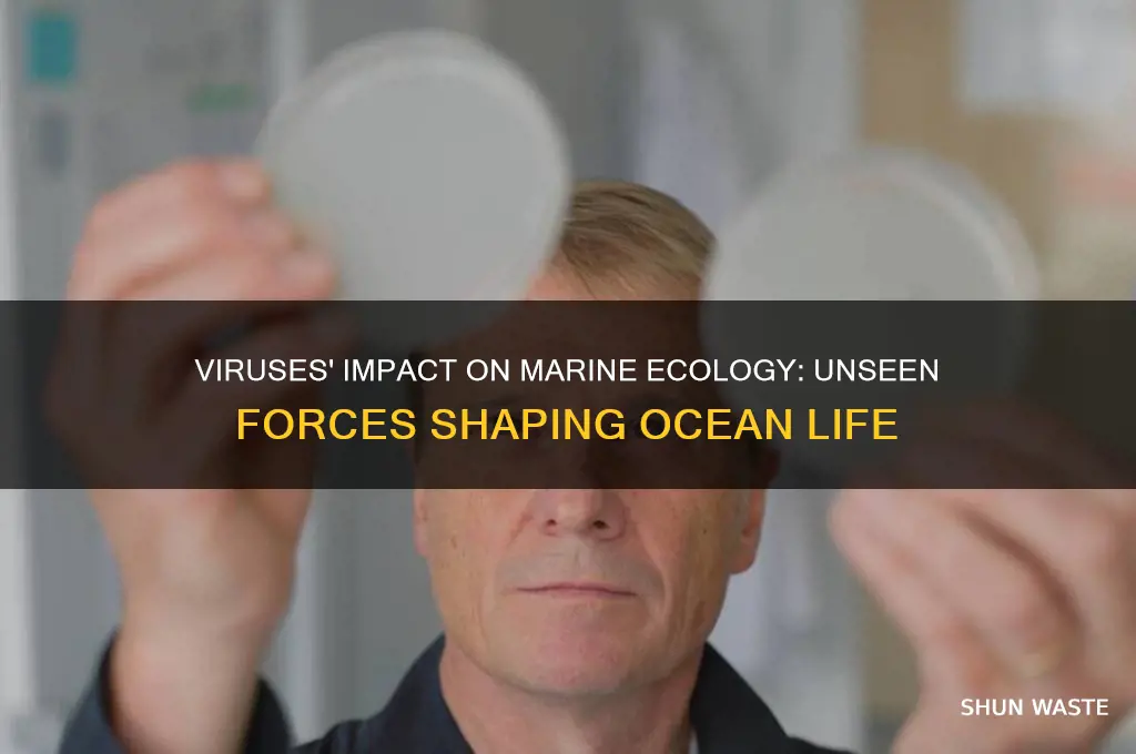 how do viruses affect the ecology of the marine environment