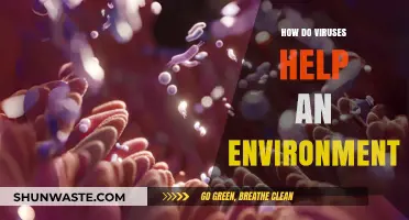 Viruses' Hidden Role: Boosting Ecosystems and Environmental Balance