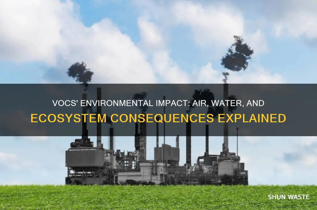 how do vocs impact the environment
