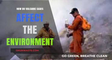Volcanic Gases: Environmental Impacts and Atmospheric Consequences Explained