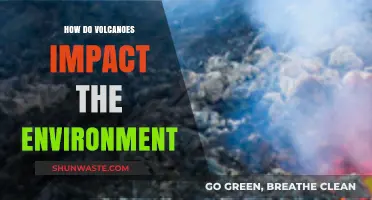 Volcanic Eruptions: Environmental Impacts, Ecosystem Changes, and Climate Effects