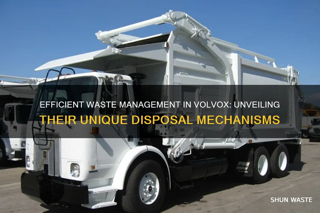 how do volvox get rid of waste
