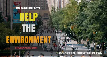 Walkable Cities: Sustainable Urban Design for a Greener Future