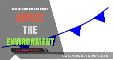 Warm and Cold Fronts: Environmental Impacts and Weather Changes Explained