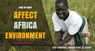 Devastation and Resilience: Africa's Environment Amidst the Scars of War
