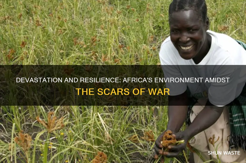 how do wars affect africa environment