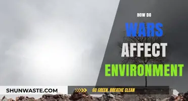 War's Devastating Impact: How Conflicts Destroy Our Environment and Ecosystems