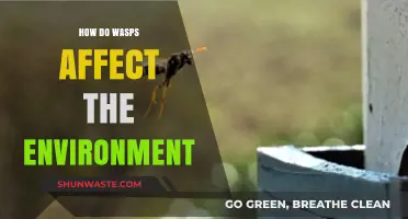 Wasps' Ecological Impact: Pollination, Pest Control, and Environmental Roles Explained