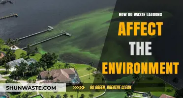 Waste Lagoons' Environmental Impact: Pollution, Ecosystems, and Health Risks