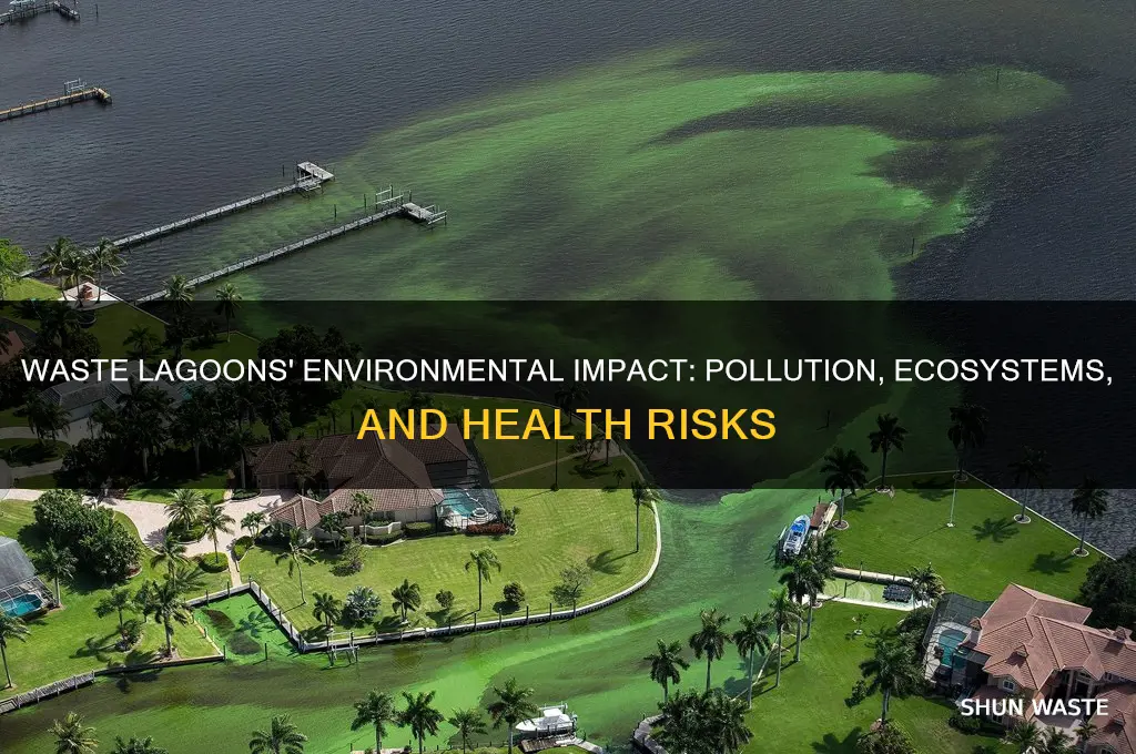 how do waste lagoons affect the environment