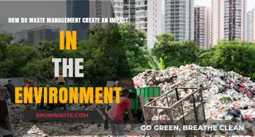 Waste Management's Environmental Impact: Sustainable Practices for a Greener Future