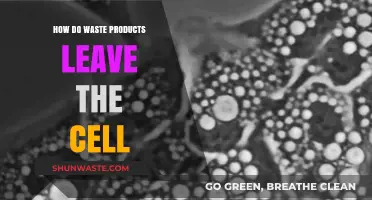 Cellular Waste Disposal: How Cells Eliminate Unwanted Byproducts Efficiently