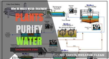 Wastewater Treatment: How Plants Purify Water for Reuse