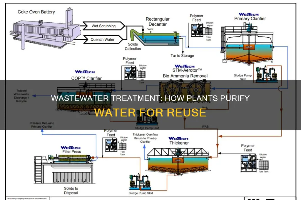 how do waste water treatment plants purify water