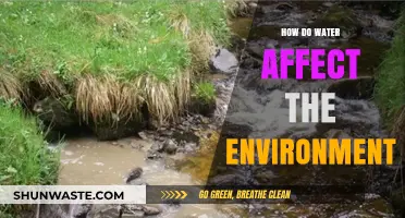 Water's Impact: Shaping Ecosystems, Climate, and Environmental Sustainability