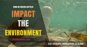 The Environmental Impact of Water Bottles: A Comprehensive Analysis