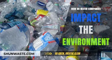 Water Companies' Environmental Impact: Sustainability Challenges and Solutions Explored