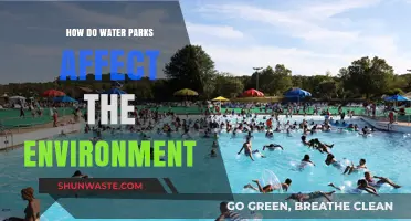 Water Parks' Environmental Impact: Sustainability Challenges and Solutions Explored