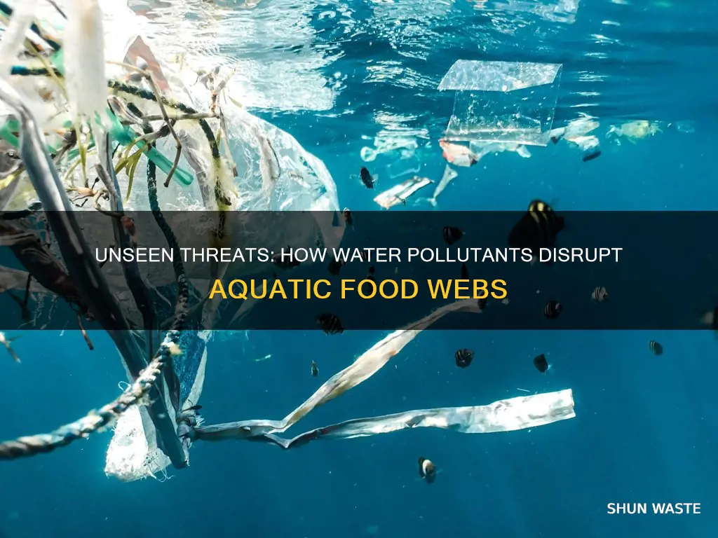 how do water pollutants disrupt food webs