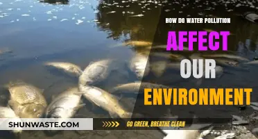 Water Pollution's Devastating Impact on Ecosystems and Human Health