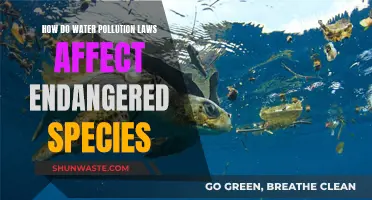 Water Pollution Laws: Saving Endangered Species