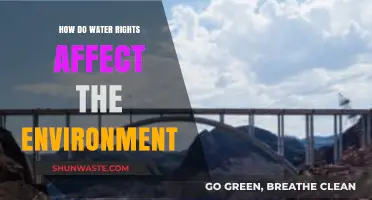 Water Rights Impact: Balancing Human Needs and Environmental Sustainability