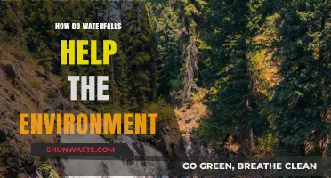 Waterfalls' Vital Role in Sustaining Ecosystems and Environmental Health