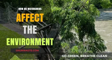 Watersheds' Environmental Impact: Shaping Ecosystems and Sustaining Life