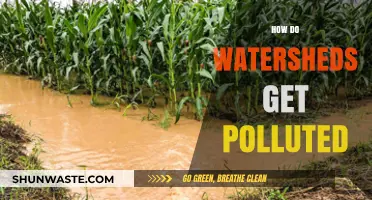 Watershed Pollution: Understanding the Sources and Impacts