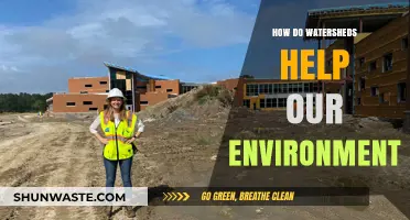 Watersheds: Nature's Lifeline for a Healthier, Sustainable Environment