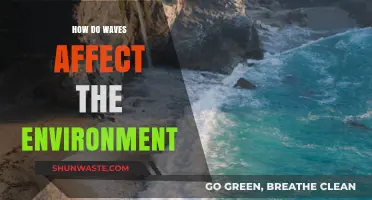Waves' Environmental Impact: Shaping Coastlines, Ecosystems, and Climate Dynamics