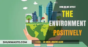 Sustainable Actions: How We Can Positively Impact Our Environment Daily