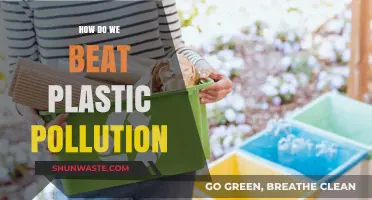 Combating Plastic Pollution: Strategies for a Greener Tomorrow
