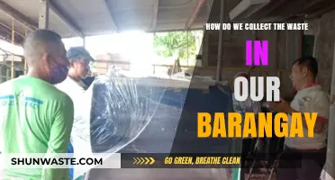 Efficient Waste Collection Strategies for a Cleaner Barangay Environment