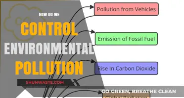Controlling Environmental Pollution: Strategies for a Sustainable Future