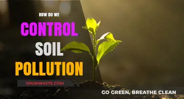 Soil Pollution: Strategies for Control and Prevention