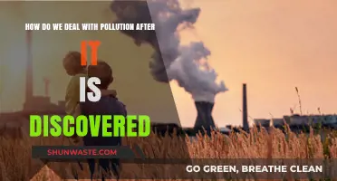 Addressing Pollution: Strategies for a Cleaner Future