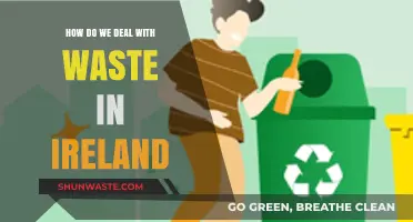 Ireland's Waste Management: Strategies, Challenges, and Sustainable Solutions Explored