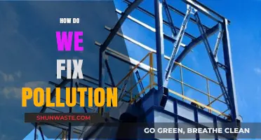 Reducing Pollution: Strategies for a Sustainable Future