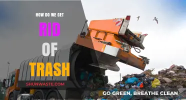 Effective Strategies to Eliminate Trash and Promote a Cleaner Environment