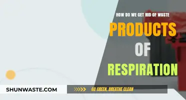Efficiently Eliminating Respiratory Waste: Strategies for Optimal Health and Wellness