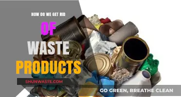 Effective Strategies to Eliminate Waste Products and Promote Sustainability
