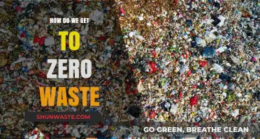 Achieving Zero Waste: Sustainable Steps for a Greener Future