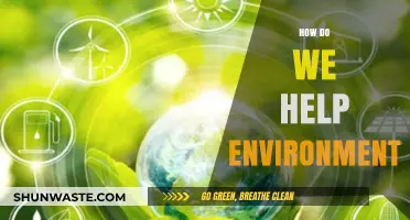 Sustainable Steps: Practical Ways to Protect and Preserve Our Environment