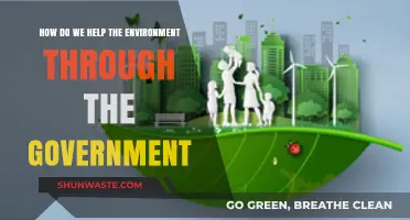 Empowering Green Governance: How Governments Can Drive Environmental Change