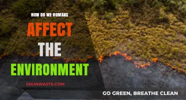 Human Impact: Unveiling Our Environmental Footprint and Global Consequences