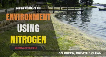 Nitrogen's Environmental Impact: Understanding Our Role and Responsibility